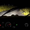 无尽夜行 (Endless Night Drive)最新版v1.1